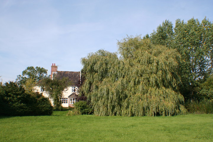 Cratfield Cattery